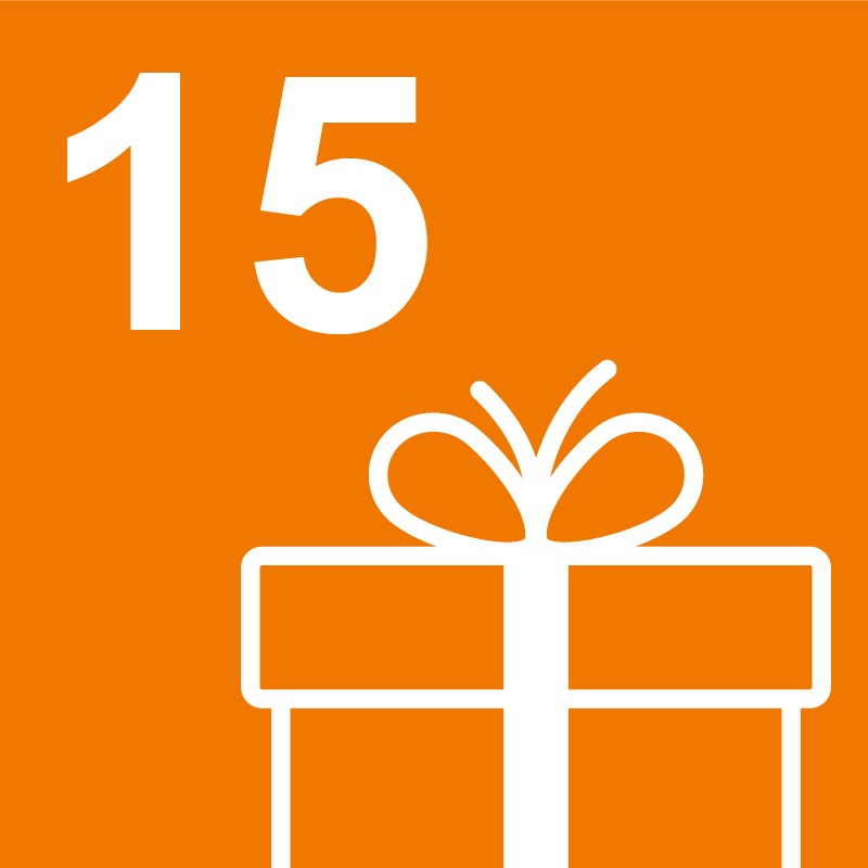 zum 15. Türchen
